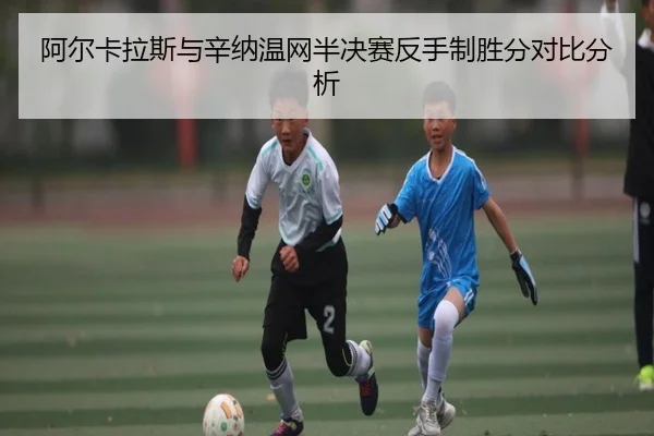 a-er-ka-la-si-yu-xin-na-wen-wang-ban-jue-sai-fan-shou-zhi-sheng-fen-dui-bi-fen-xi-2-336.jpg