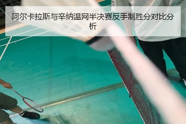 a-er-ka-la-si-yu-xin-na-wen-wang-ban-jue-sai-fan-shou-zhi-sheng-fen-dui-bi-fen-xi-3-302.jpg